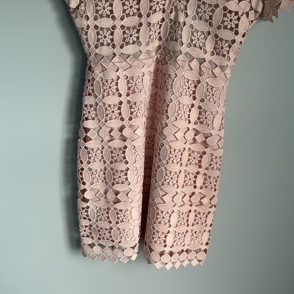 Sandro Paris Manureva Pink Lace Dress 6 - Picture 6 of 15